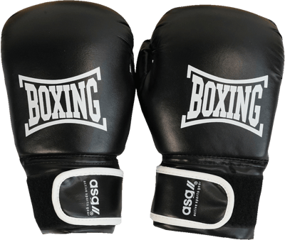 Junior Boksesæt m Pude og Handsker