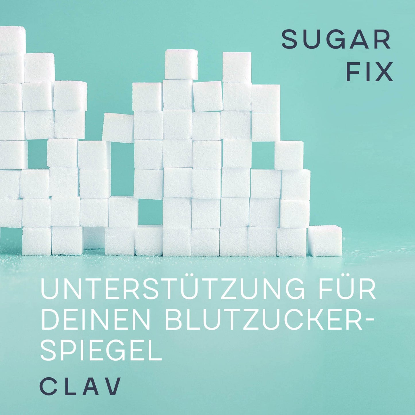 CLAV® N°9 SUGAR FIX - Skořicové kapsle se 400 mg skořicového extraktu, 40 μg chrómu a 10 mg zinku na denní dávku plus beta glukan, strom jambul a hořký meloun - rovnováha krevního cukru - 60 kapslí - vegan