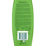 Palmolive Shampoo Natural Shine hår 350 ml