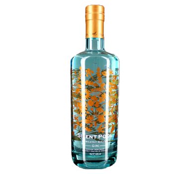 Tichý bazén Gin 43% 0,7 l.